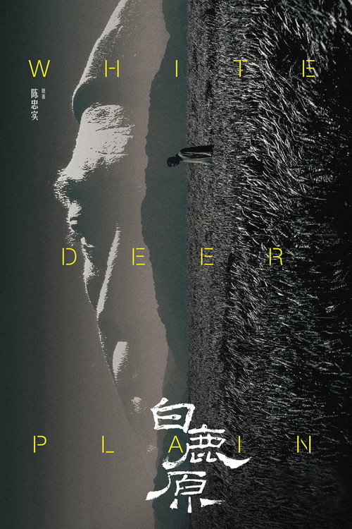 白鹿原