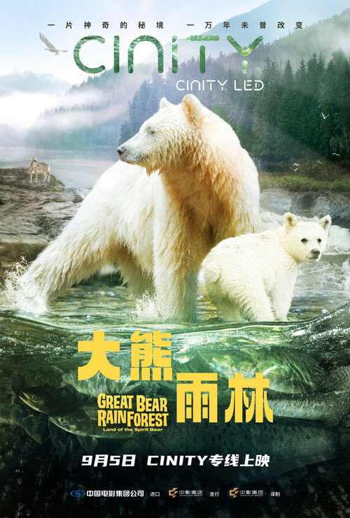 大熊雨林