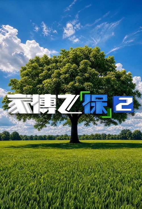 家传之「保」