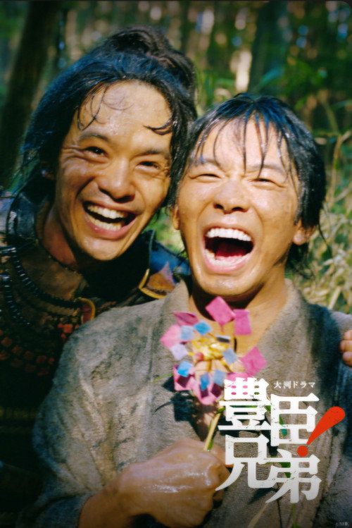 丰臣兄弟！