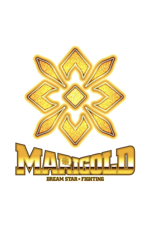 マリーゴールド