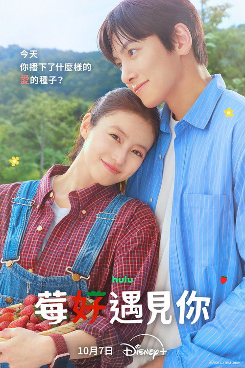 莓好遇见你